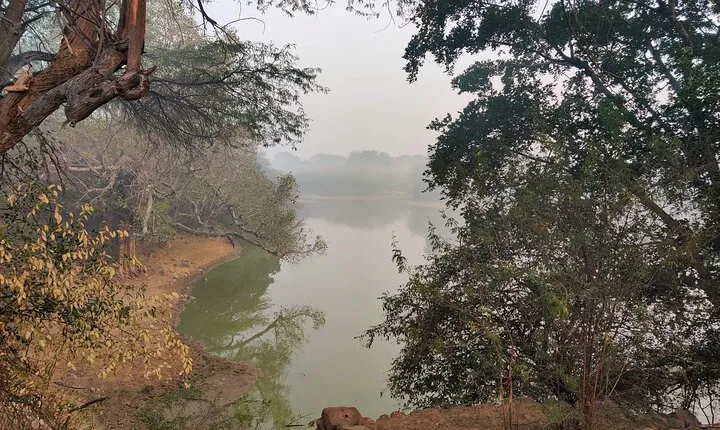 Forest Trail Hiking Experience in Gurgaon