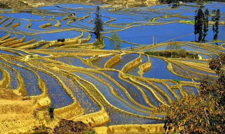 4days private tour Stone forest Yuanyang Terrace Jianshui old town from Kunming