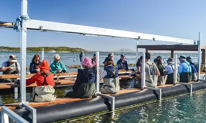 Oyster Farm Tour with Hotel Pick-up and return from Port Lincoln