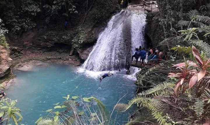 Ocho Rios Blue Hole and Dunn's River Falls Tour