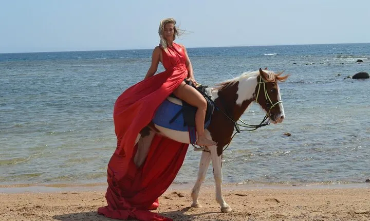 Horse Riding Tour 2 Hours on Sea And Desert & Transfer -Hurghada
