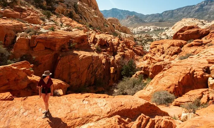 Panoramic Red Rock Canyon Scenic Loop Tour