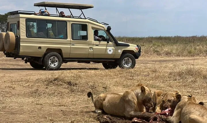 Arusha Tanzania 5 Day Safari Adventure