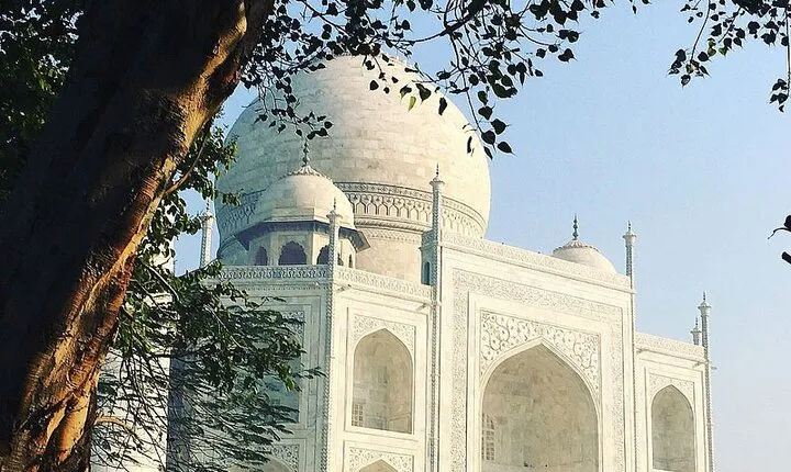 Agra: Taj Mahal and Agra Fort Guided Tour with Skip-the-Line