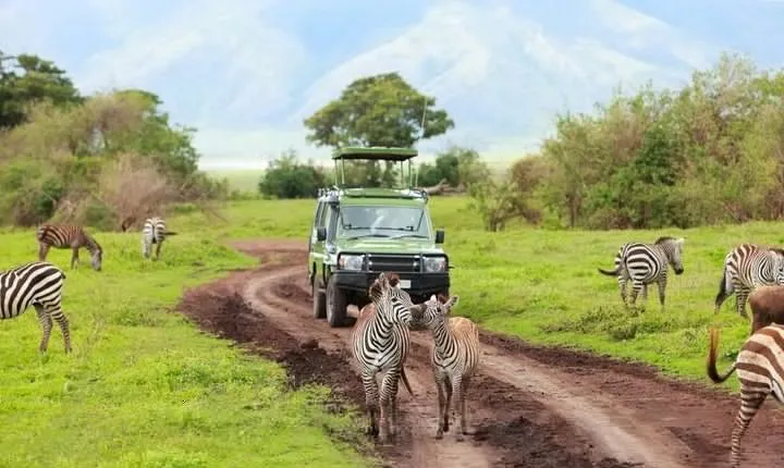 7-Days Private Midrange Safari; Serengeti & Ngorongoro Crater