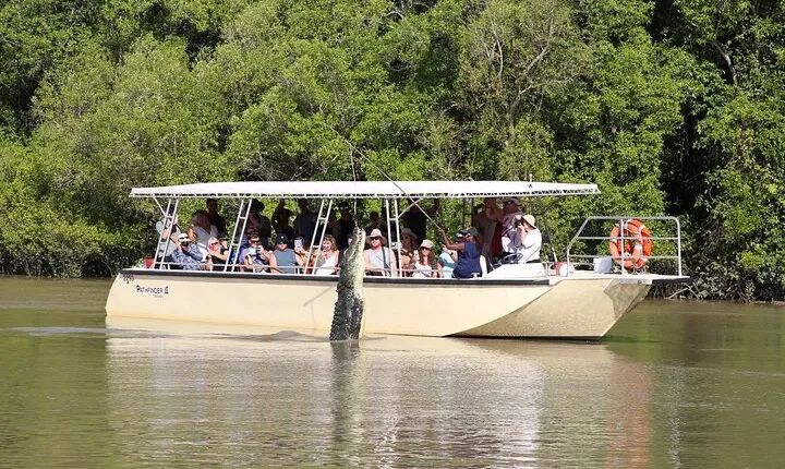 Darwin: Pathfinder Original Jumping Crocodile Cruise