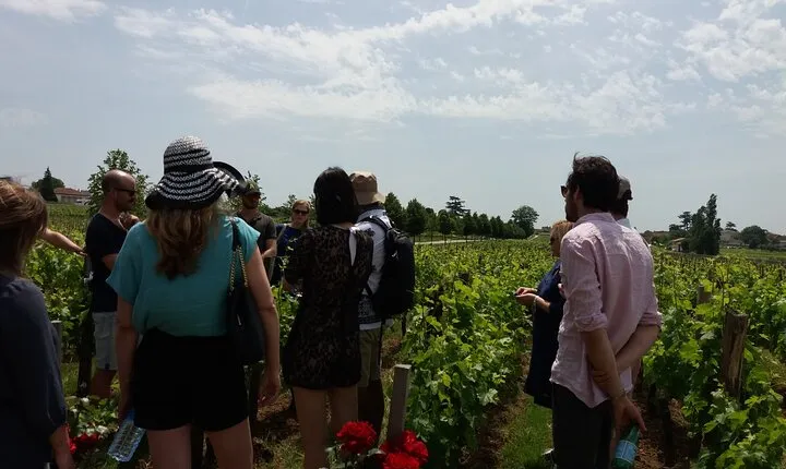 Saint Emilion Wine Tour Tasting Half Day from Bordeaux