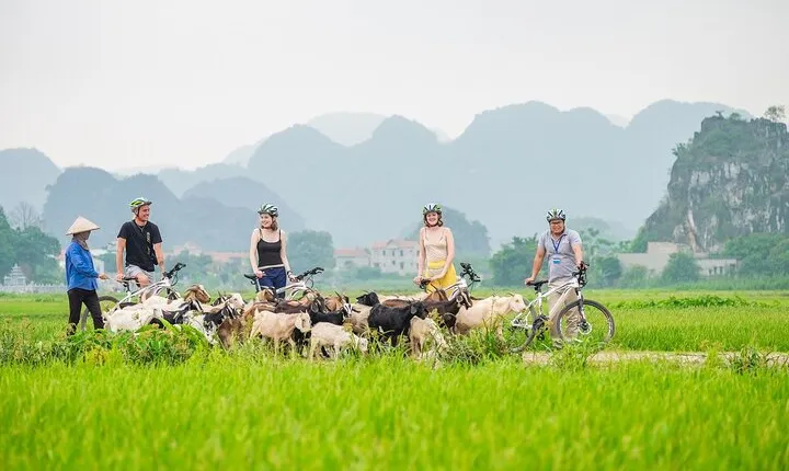 Discover Ninh Binh with a group of 11: Cycling, Lunch & Boat Tour