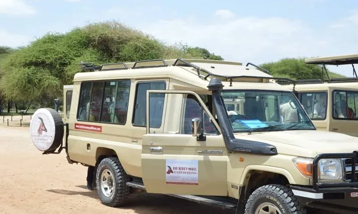 9 Days of Luxury Across Tanzania’s Wilderness Wonders.