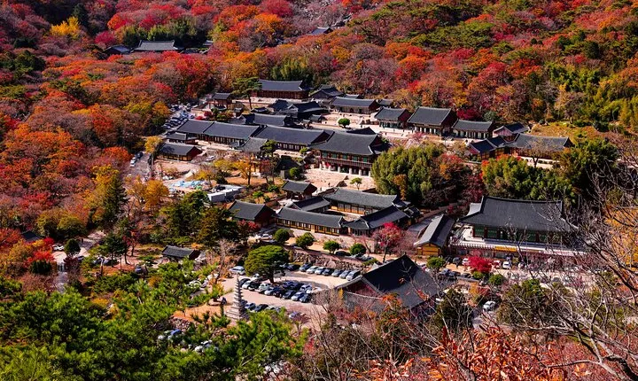 Full Day All included Package Private car tour to UNESCO Gyeongju