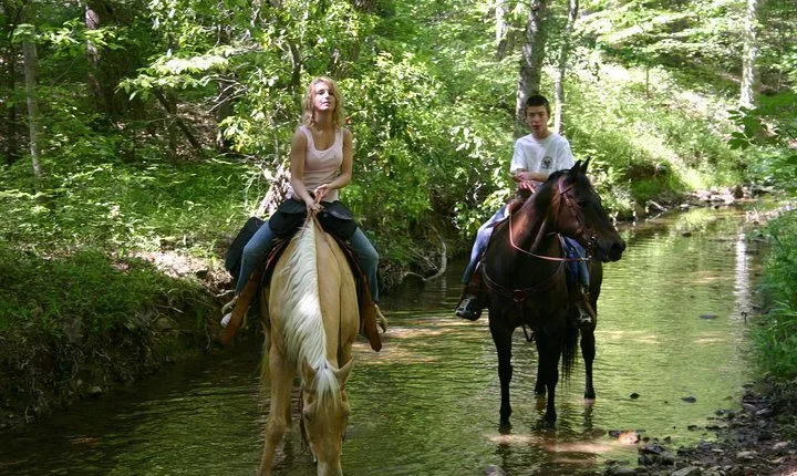 Horse Riding Experience in Marmaris with Transfer