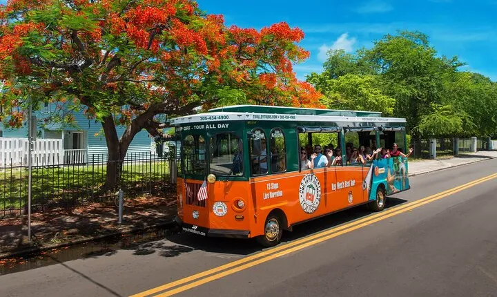 Discover Key West in a Day : Sun, Sea and Paradise