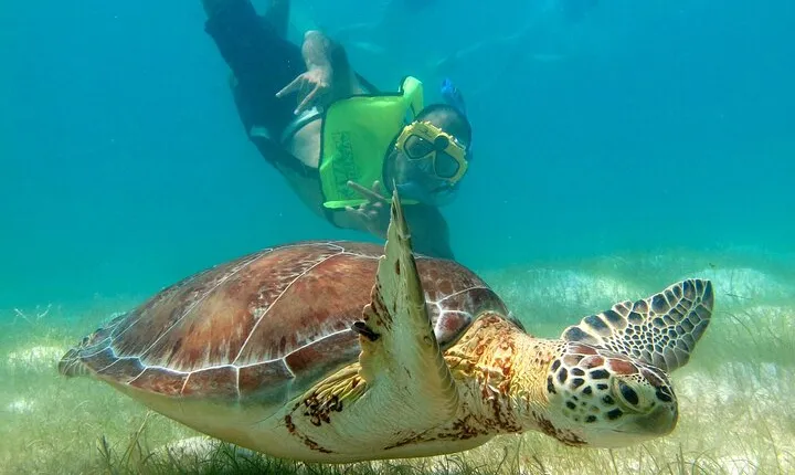 VIP Tulum & Turtles Private Tour