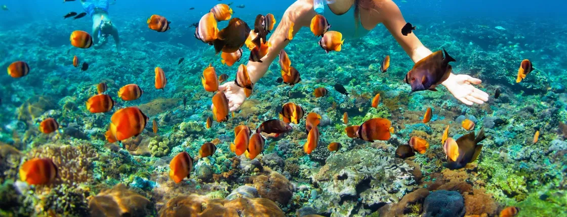 Bali Blue Lagoon snorkeling with transport and lunch
