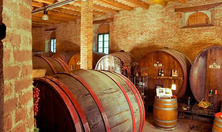 Wine Tour and Tasting at Le Marche's Oldest Wine Estate