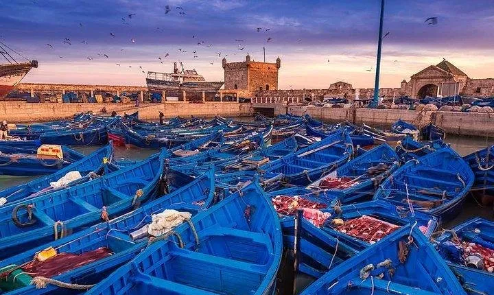 Best shared day trip to Essaouira from Marrakech