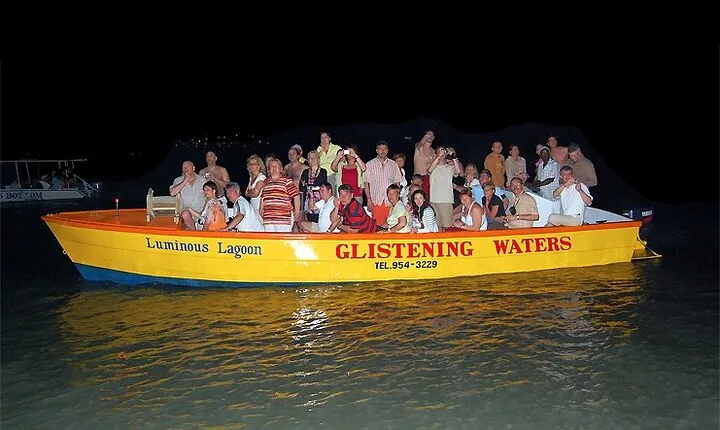 Luminous Lagoon Night Tour from Montego Bay