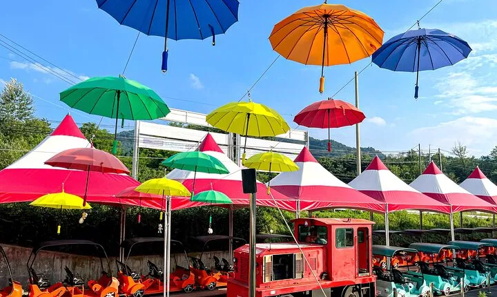 Strawberry & Nami Island & Railbike Trip (+ Opt. Korean Garden)