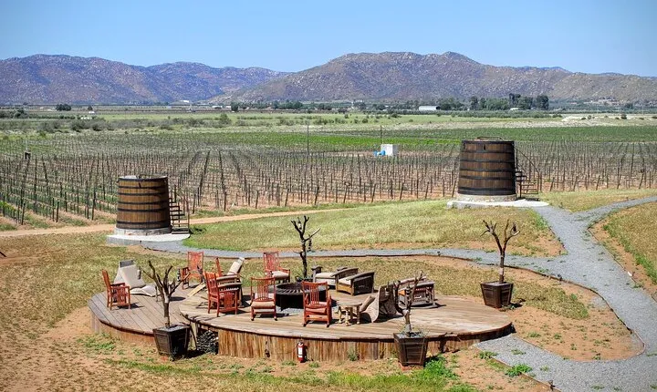 Valle de Guadalupe Private Driver and Vehicle 10 hours