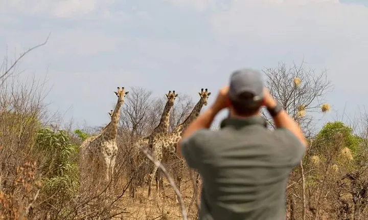 Private Game Drive and Chobe River Cruise