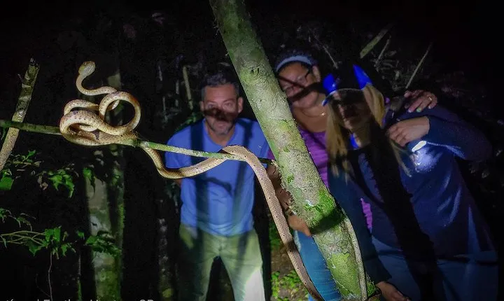Private Night Hike In The Woods