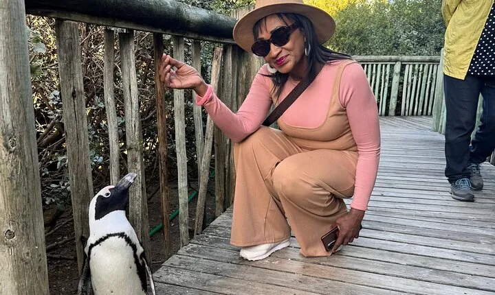 Pre Booked Tickets to Table Mountain, Penguins & Cape Point