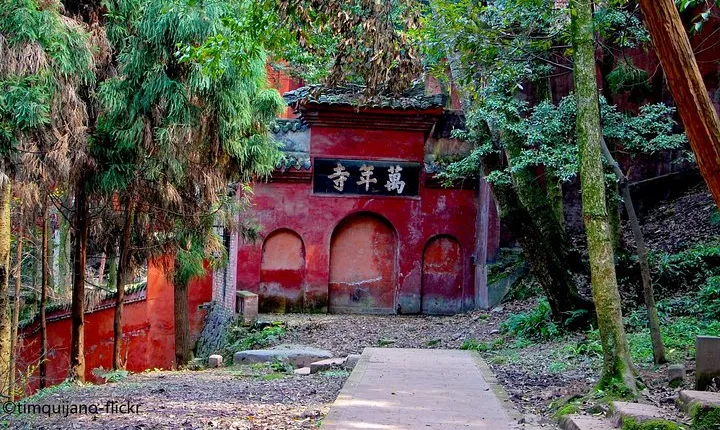 2-Day Panda Base plus Leshan Giant Buddha and Emei Mountain Tour