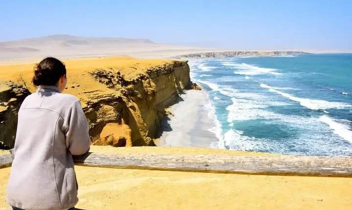 Ballestas Islands and Paracas National Reserve Day Trip from Paracas
