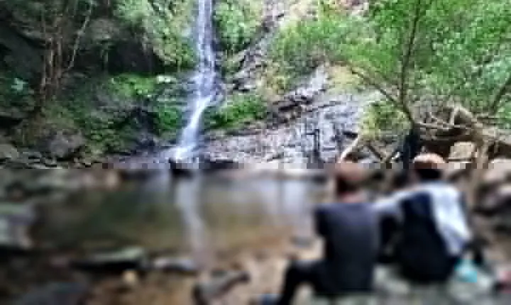 Jungle River Trek: private tour in Yanbaru, north Okinawa