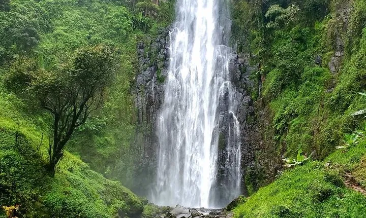 1-Day Materuni Waterfalls, Coffee Tour and Chemka Hot Spring