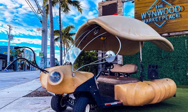 1 Hour Lady Buggy Art Tour Experience in Wynwood