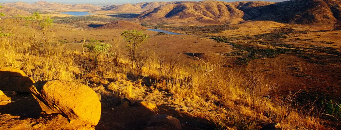 Pilanesberg National Park safari from Pretoria