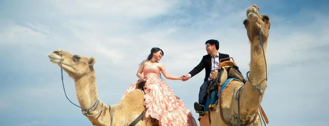 Camel Safaris Ride - 1 hour