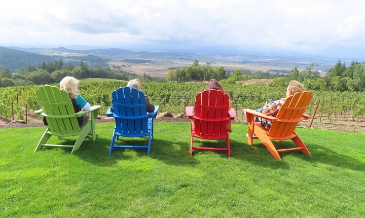 Willamette Valley Boutique Winery Tour with Lunch