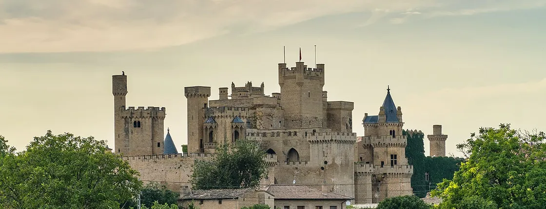 Olite Royal Palace and Ujue medieval village half-day tour from Pamplona