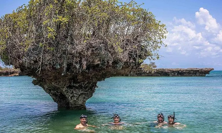 Full-day Safari Blue Trip in Zanzibar with Lunch buffet