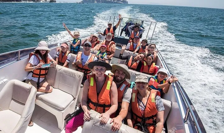 Visit the Sea Lions in Palomino Islands, in Lima Peru