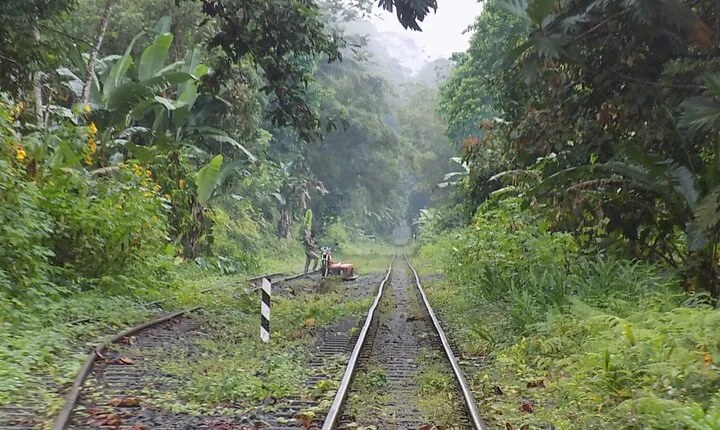 San Cipriano Natural Reserve Full Day Adventure
