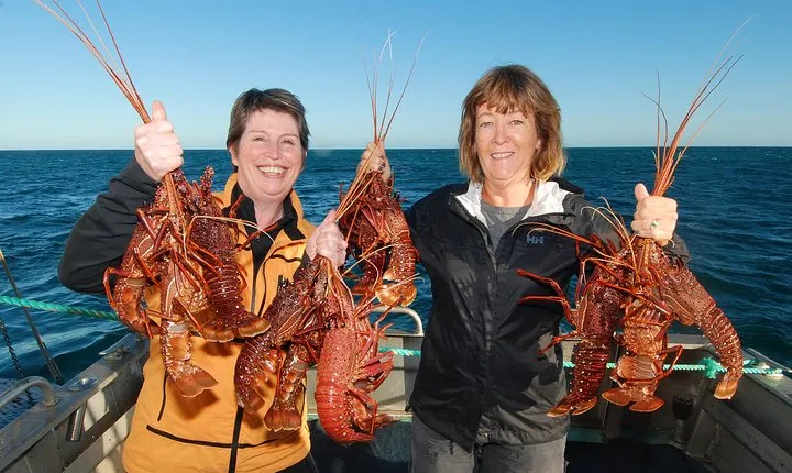 Geraldton Lobster Pot Pull