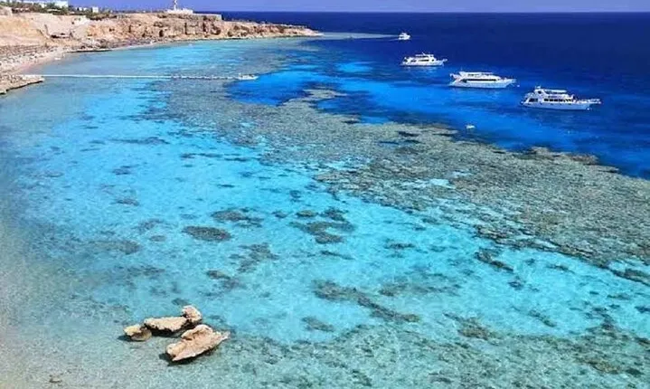 Tiran Island Snorkeling Sea Trip & intro dive - Sharm El Sheikh