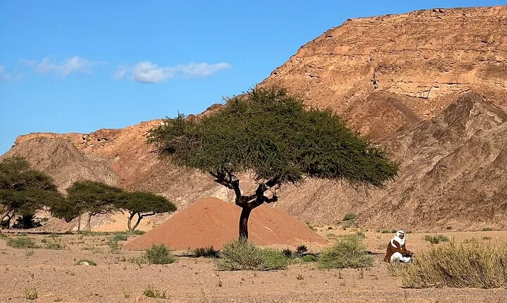Sinai Valleys One Day Hiking Tour with Guide