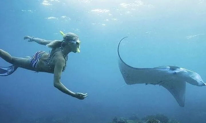 Full-Day Island-Hopping Tour from Bali