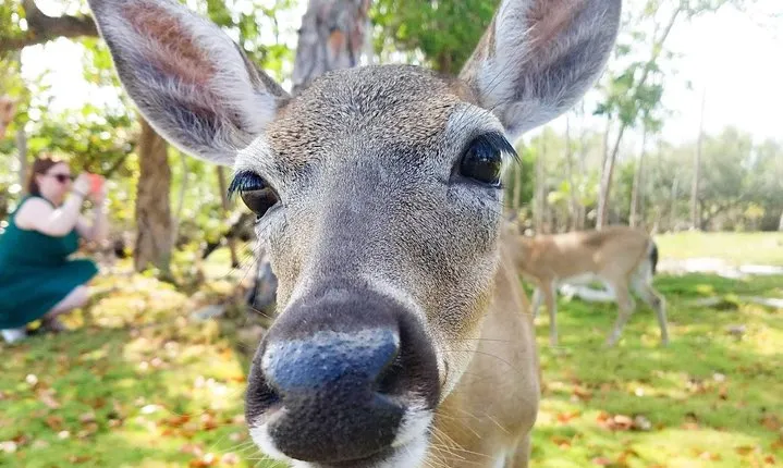Florida Keys Nature & History Tour from Key West