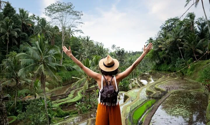 Private Ubud Day Tour Waterfalls Sacred Monkeys and Rice Fields