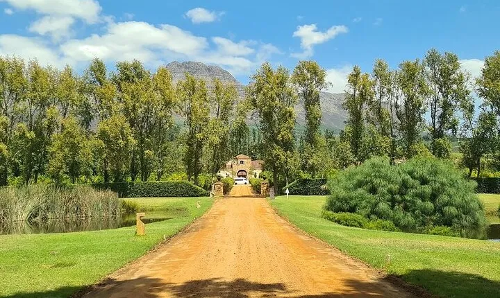 Wine tasting in Cape Winelands Tour