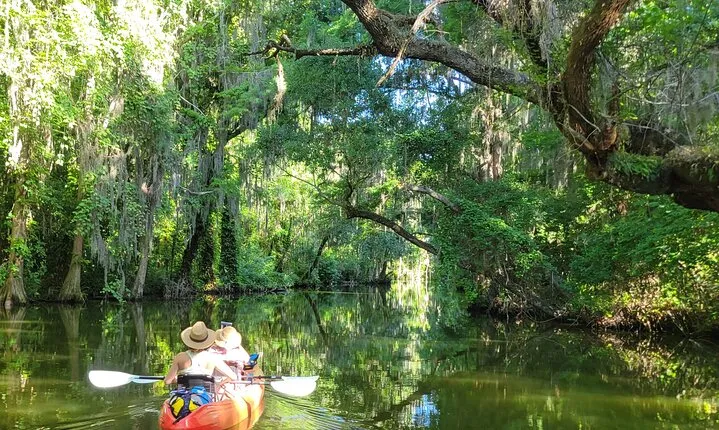 Tavares Half-Day Kayak Rental for Two on the Dora Canal