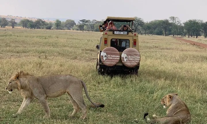 3 Days Tanzania Safari