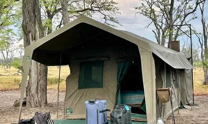2-Day Wilderness Adventure: Overnight Camping in Chobe Park