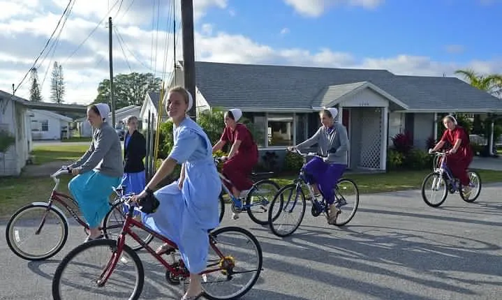 Amish Experience Trolley Tour: Bridges to Understanding