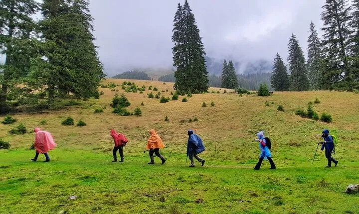 Pestera and Magura Full-Day Private Walking Tour from Brasov